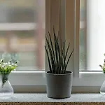 Jan's Urban Retreat ヴロツワフ