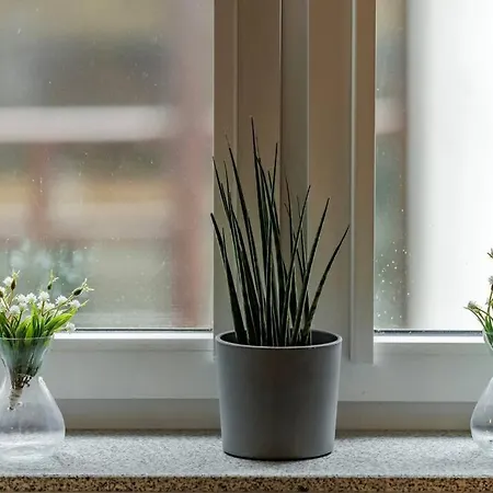 Jan's Urban Retreat فروتسواف