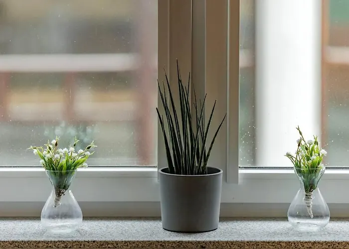 Jan's Urban Retreat Breslavia